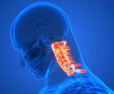 Spinal,Cord,Vertebral,Column,Cervical,Vertebrae,Of,Human,Skeleton,System